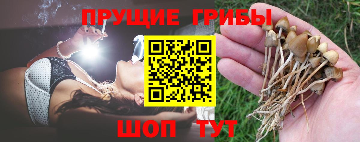 Зерноград  Псилоцибиновые грибы MAGIC MUSHROOMS  где купить наркотик  Вход с VPN 